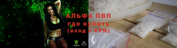 прущие крисы Аркадак