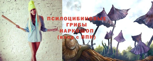 винт Армянск