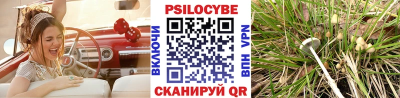 Псилоцибиновые грибы MAGIC MUSHROOMS  сайты даркнета как зайти  Соликамск  продажа наркотиков  блэк спрут рабочий сайт 